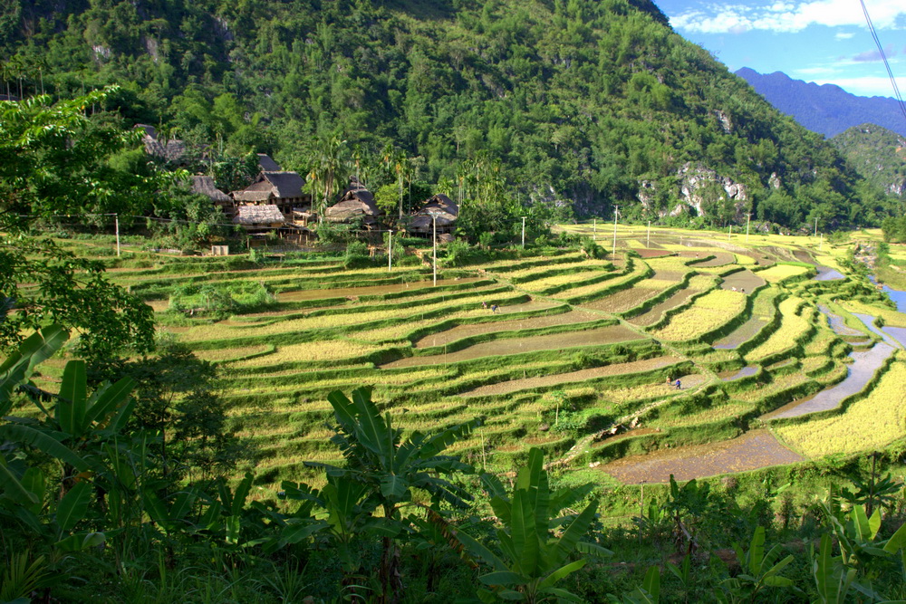 Bản làng trong khu bảo tồn Pù Luông. Ảnh: Internet