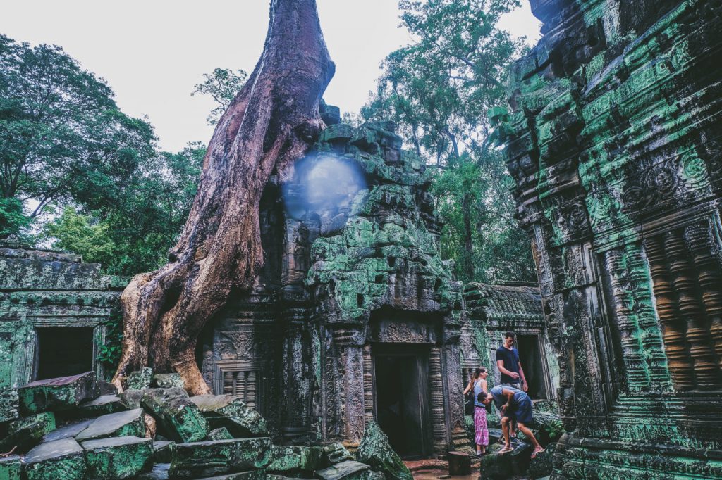 Rễ của những cây cổ thụ mang dáng vẻ kỳ quái bao trùm gần như toàn bộ ngôi đền, tạo nên một sự hấp dẫn riêng 