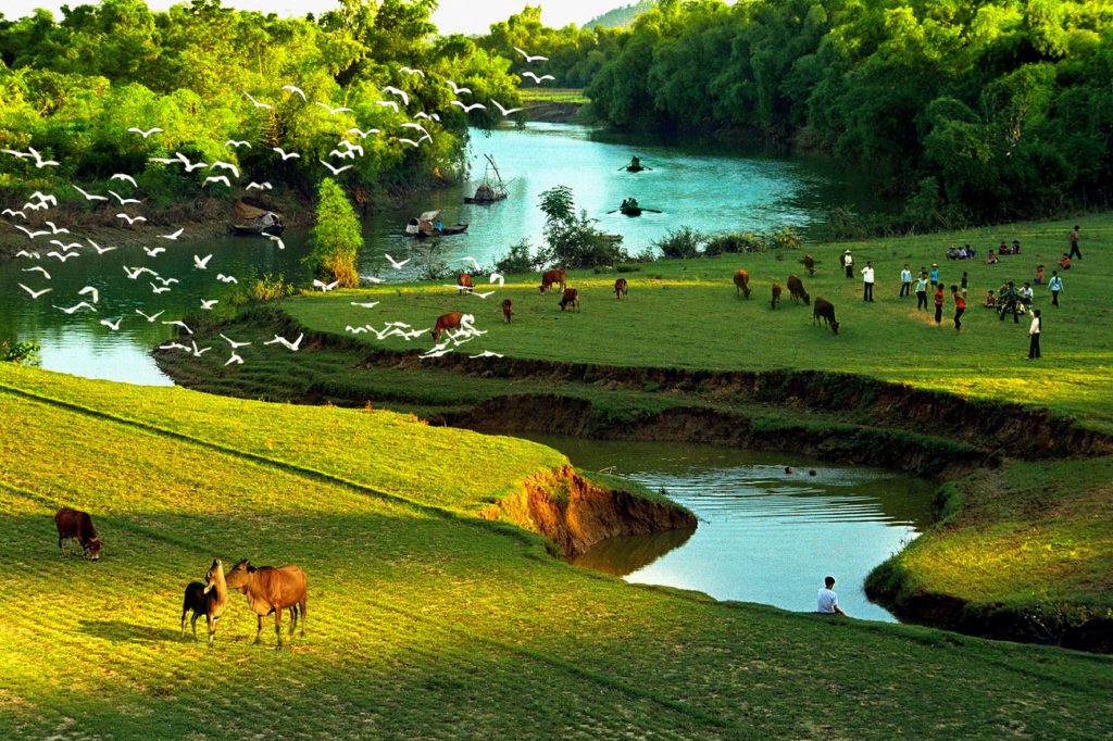 Cảnh đẹp làng quê Việt Nam