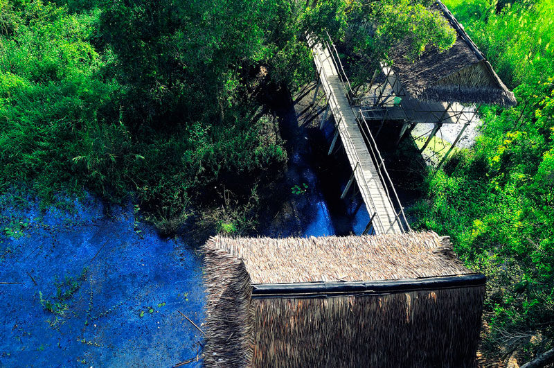 Theo kết quả khảo sát của BirdLife International và Viện Sinh thái và Tài nguyên sinh vật, rừng tràm Trà Sư được đánh giá là nơi có tầm quan trọng quốc tế trong công tác bảo tồn đất ngập nước tại đồng bằng sông Cửu Long. Ảnh: Diem Dang Dung.