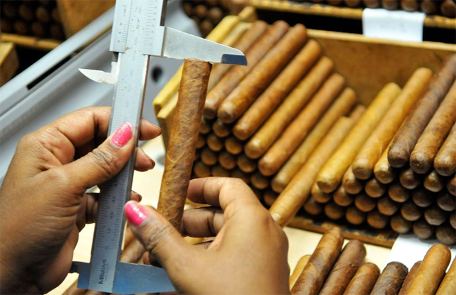 Bất chấp các lệnh trừng phạt thương mại của Mỹ đối với các sản phẩm của Cuba, xì gà vẫn là một trong những mặt hàng xuất khẩu chủ lực của đất nước. Cuba đã xuất khẩu 77 triệu điếu xì gà từ những năm 1990.
