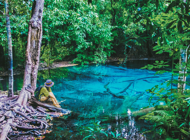 "Blue Pool" được thiên nhiên "giấu kín" sâu trong rừng với màu xanh huyền bí trong vắt tận đáy 