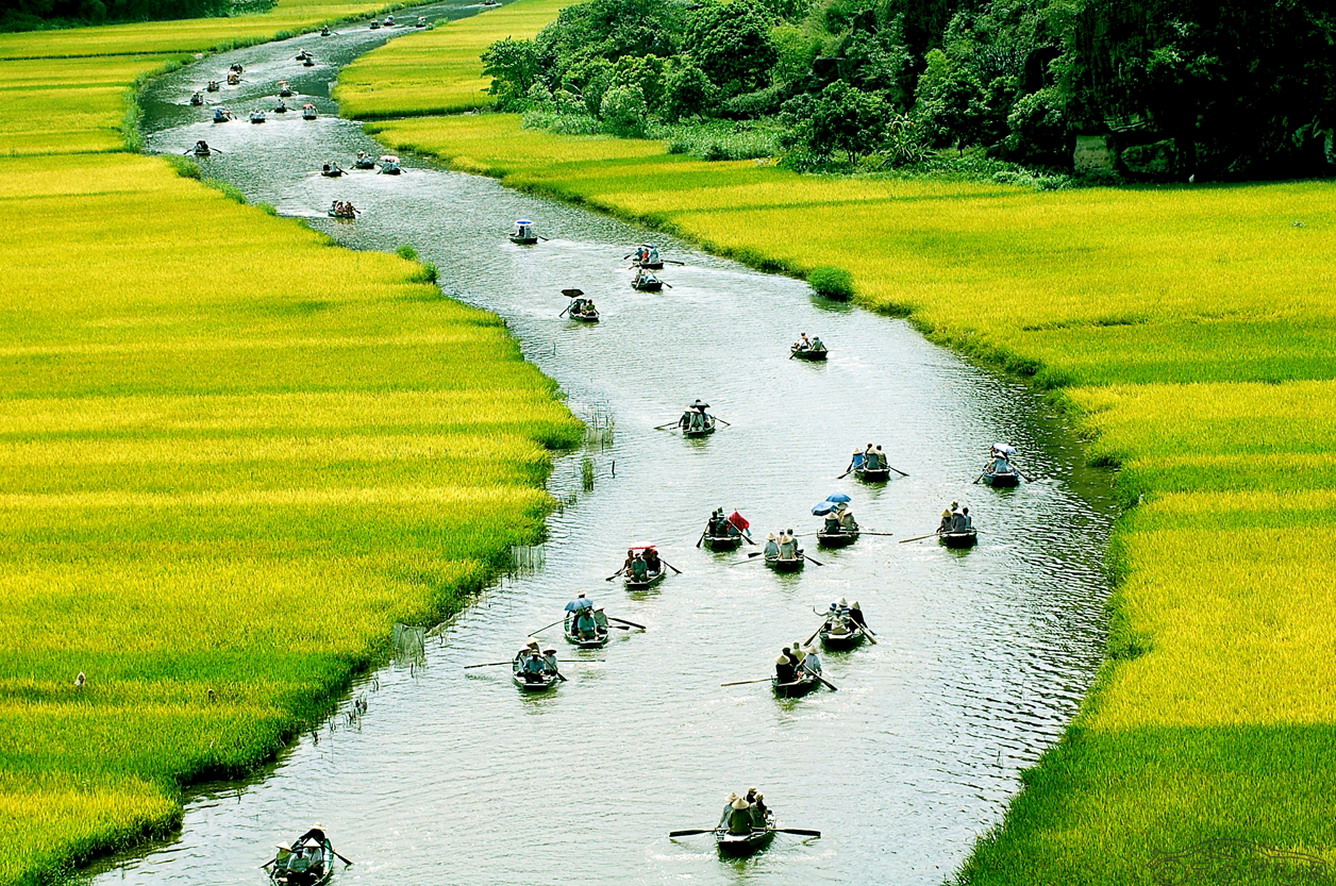 Cánh đồng lúa uốn lượn theo dòng sông Ngô Đồng. Nguồn: mogo.vn