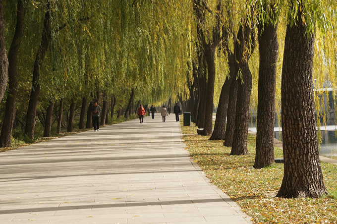 Bắc Kinh, Trung Quốc: Thu của Bắc Kinh trùng với mùa thu Hà Nội, nhưng có sự khác biệt là tiết thu ở đây khô và lạnh hơn, nhiều gió.