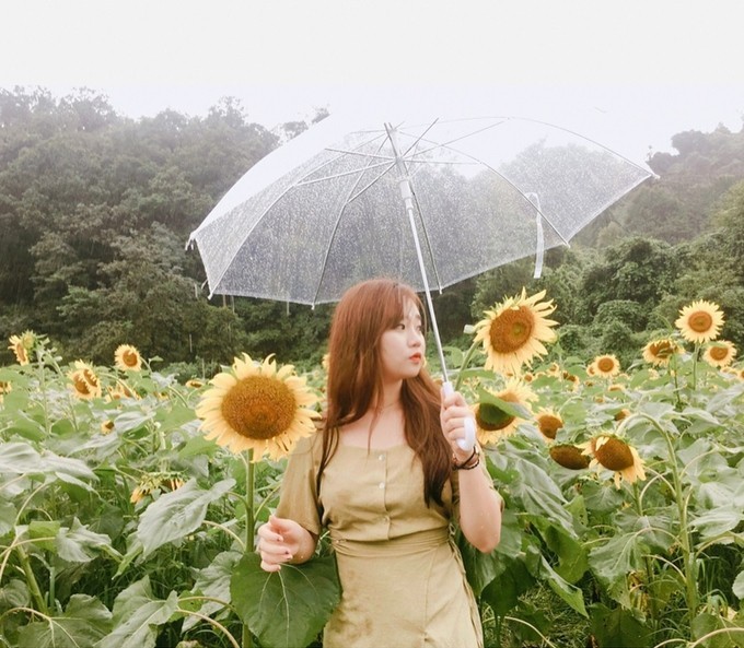 Dù trời mưa, hoa có phần kém sắc nhưng nhờ không khí trong lành ở Yangpyeong, cộng với cảnh quan non nước hữu tình nên nơi này vẫn là điểm đến yêu thích của nhiều người, đặc biệt là nhóm gia đình.