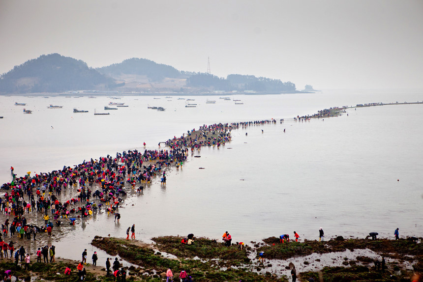 Tuyến đường này dài gần 3 km và rộng hơn 40 m. Lễ hội được tổ chức ở đây trong những ngày này thu hút du khách từ khắp Hàn Quốc và thế giới. Ảnh: National Geographic.