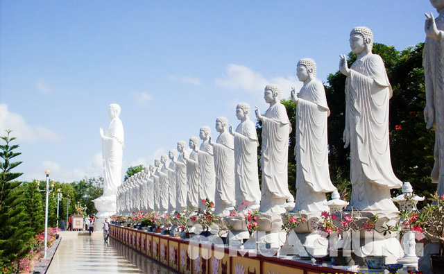 Cạnh đài Di Lặc, chùa Đại Tòng Lâm mới xây dựng vườn tượng Cửu phẩm Cực Lạc, gồm 48 pho tượng đức Phật A Di Đà bằng đá hoa cương, trong đó có pho tượng đức Phật A Di Đà cao 18m.