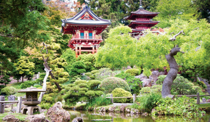 Nếu có thời gian hạn hẹp, không thể ghé qua hết các khu vực thì bạn có thể lựa chọn tới vườn trà Nhật Bản, đây là một khu vườn mang phong cách truyền thống Nhật Bản ngay giữa lòng nước Mỹ. Vườn trà có một ngôi chùa nhỏ, khu vườn xanh mát, ao hồ tiểu cảnh cùng một số cửa hàng bán trà cho du khách.