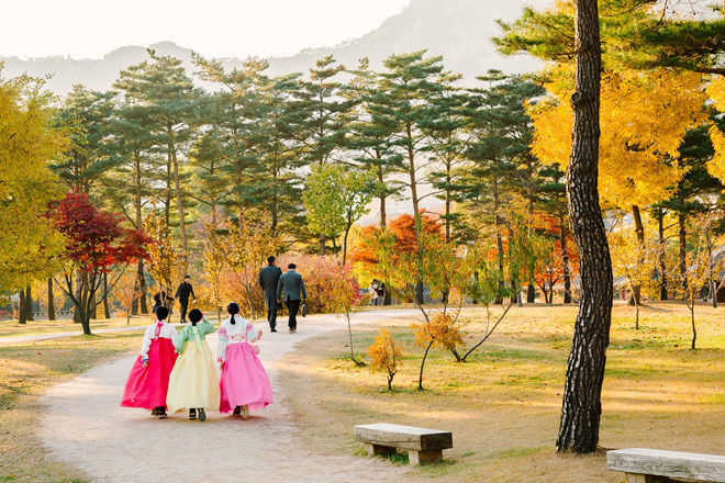 Trong không gian đầy tính hoài cổ ấy, con người dường như cũng phải tìm về truyền thống. Các cô gái xứ Hàn diện những bộ hanbok màu sắc để ghi lại hình ảnh đẹp tại chốn công viên, cung điện.