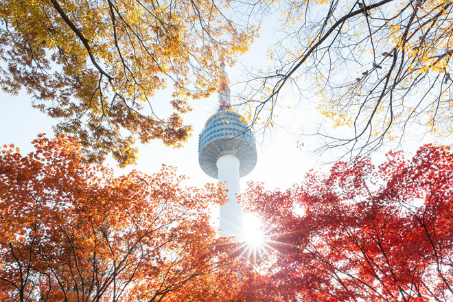 Những điểm du lịch nổi tiếng của Seoul cũng khoác lên mình “tấm áo” màu sắc từ thảm thiên nhiên. Tháp truyền hình Seoul - bối cảnh của hàng loạt bộ phim tình cảm nổi tiếng - dưới ánh nắng mặt trời dịu nhẹ của mùa thu lại càng thêm lãng mạn.