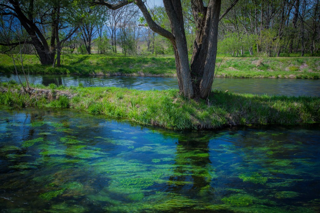 Dòng nước trong vắt cùng với lớp rêu xanh ẩn mình dước lòng sông đã tạo nên một dòng chảy huyền ảo, cây cối hai bên bờ tươi xanh, rậm rạp làm cho du khách cảm giác như đang đắm chìm trong một thế giới khác. 