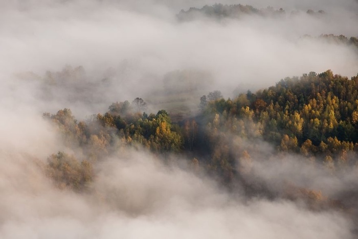 Sương mù vào buổi sáng sớm chính là một dấu hiệu cho thấy mùa thu đã về. 