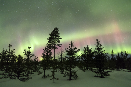 Phần Lan nổi tiếng với những khu rừng và sự bí ẩn đặc trưng cho xứ sở Bắc Âu.