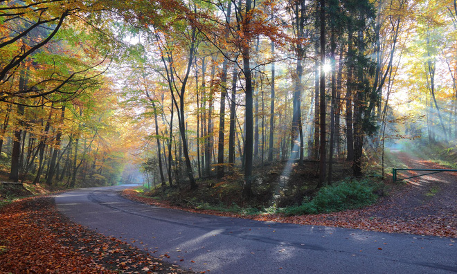 1. Công viên quốc gia Ojców, Ba Lan: Mùa thu vàng của Ba Lan là một quanh cảnh đẹp như mơ mà ai cũng muốn được chứng kiến. Khi cả khu rừng chuyển sang màu vàng, những con đường mòn rừng chạy qua suối, hang động hợp cùng sắc vàng - đỏ khiến nơi này đẹp như tranh vẽ.