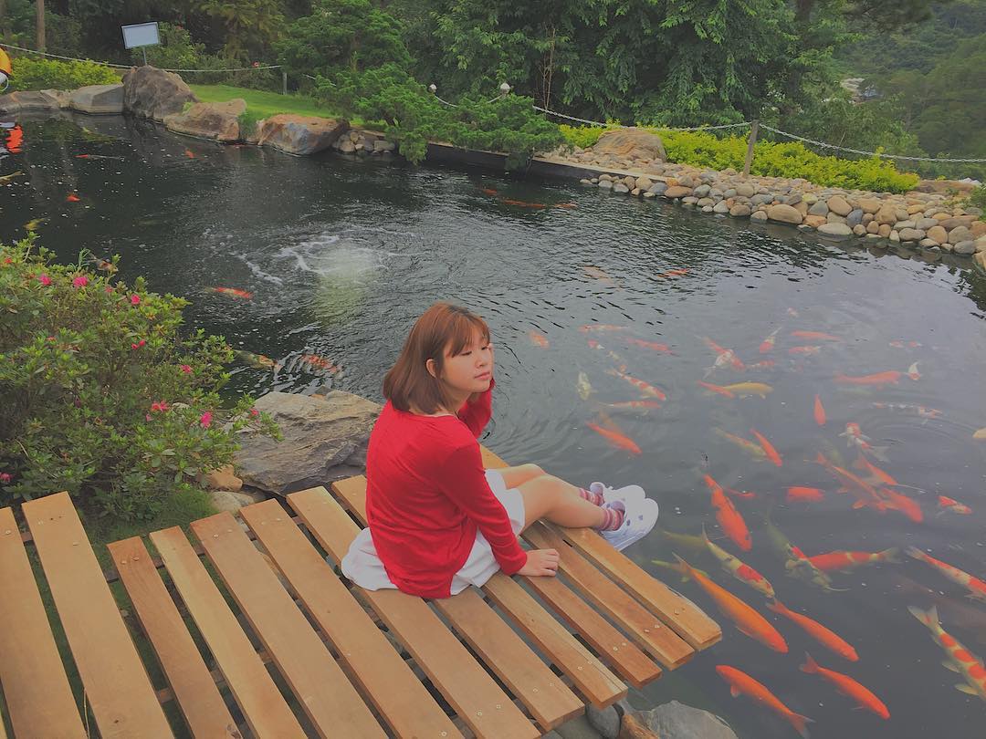 Rất nhiều bạn trẻ tỏ ra thích thú với hồ cá Koi. @v.dlinh on Instagram