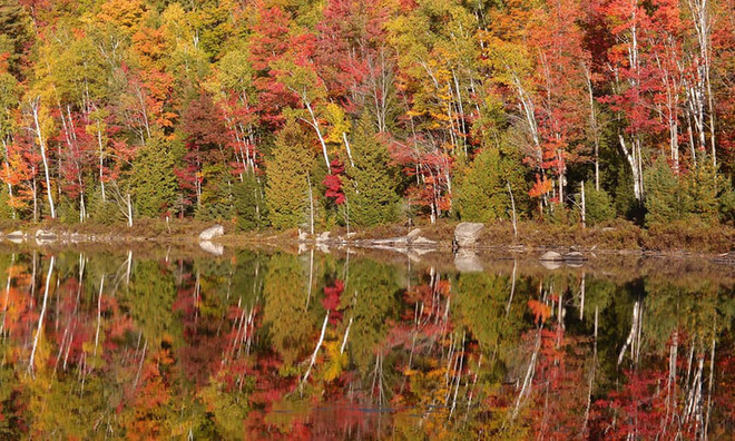 12. Dãy Adirondack, tiểu bang New York: Cả vùng Adirondack vào thu như một bức tranh với những gam màu ấm nóng tuyệt đẹp, sắc vàng đỏ của cây lá, xanh của trời. Đây là cũng là địa điểm tuyệt đẹp để ngắm nhìn sắc thu rực rỡ và đa dạng của vùng Đông Bắc Mỹ.
