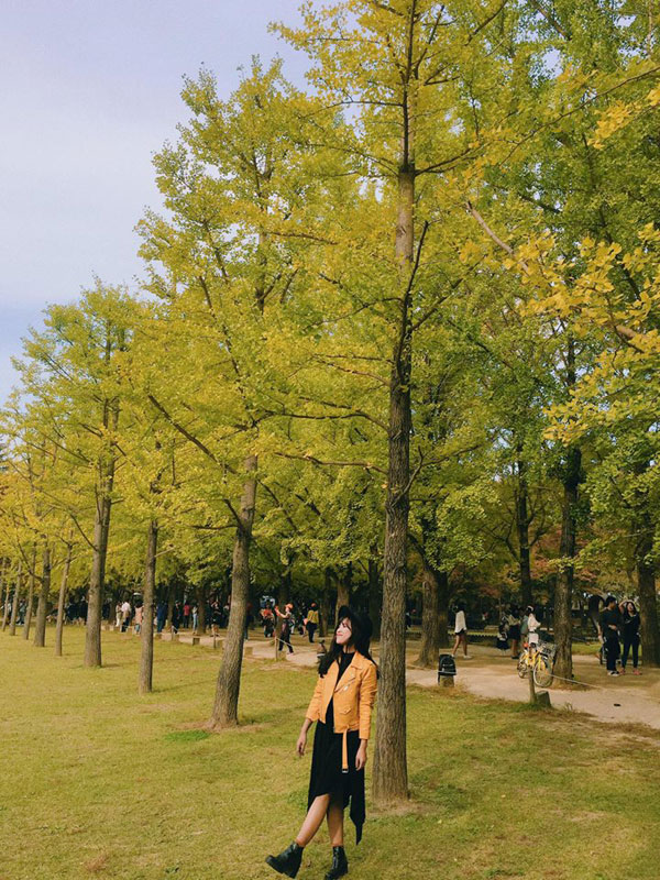 Hàn Quốc - nơi cô gái 27 tuổi tìm được "giấc mơ mùa thu" của mình