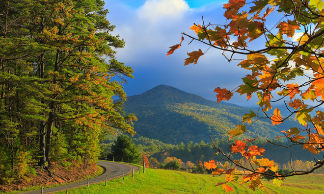 14. Dãy núi Great Smoky, Tennessee/ Bắc Carolina: Đến du ngoạn vào mùa thu tại công viên quốc gia này, du khách có thể phóng tầm mắt xa tít tắp. Những cung đường có thể lái xe hay đi bộ để ngắm nhìn lá màu thu tại nơi đây.