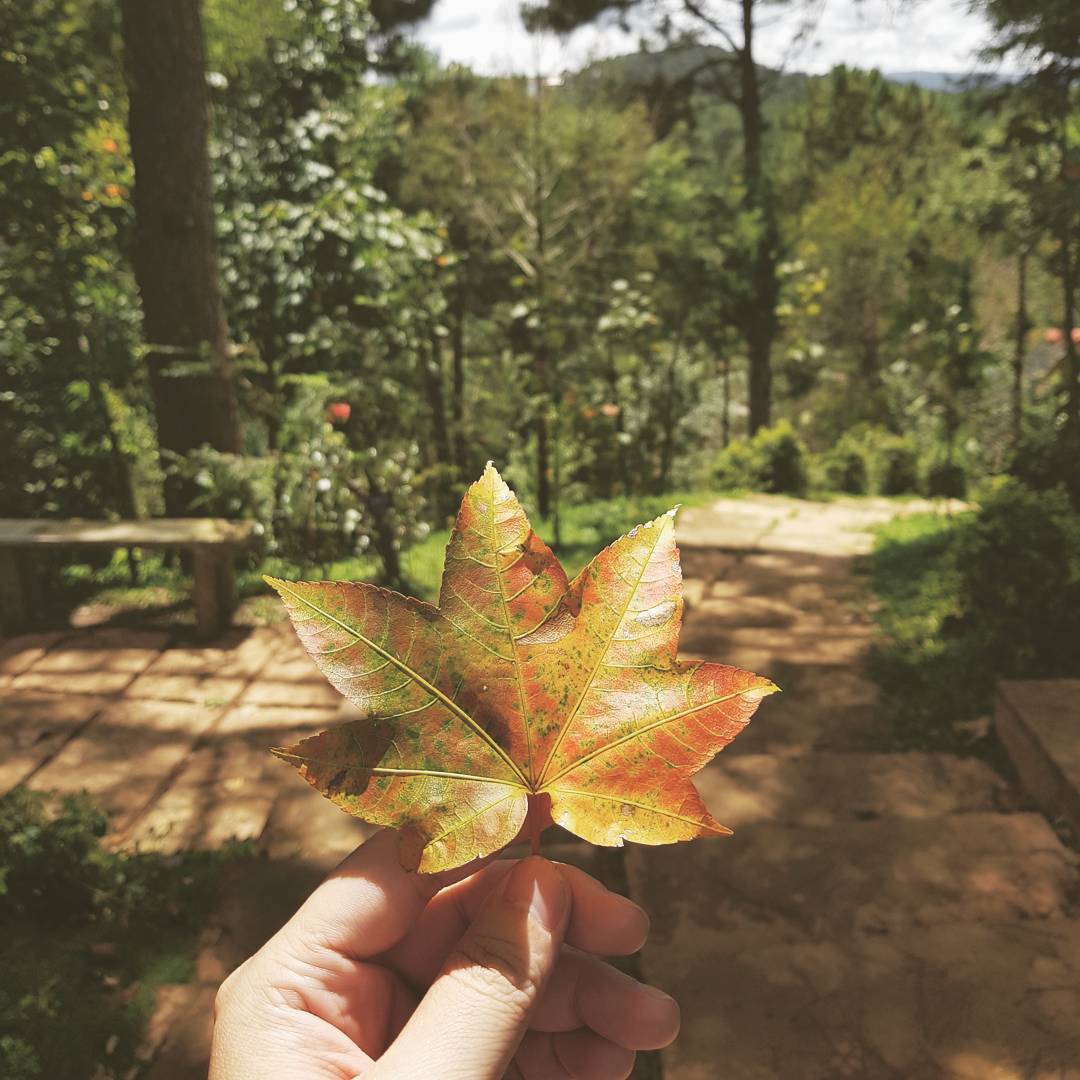 Instagram photo by Trí Dũng Đinh