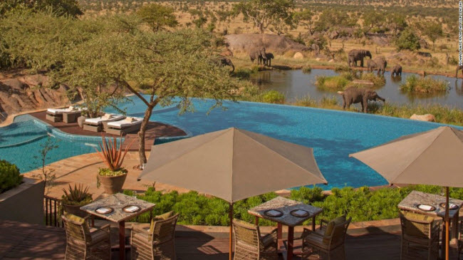 Four Seasons Safari Lodge Serengeti, Tanzania: Tại đây, du khách có thể vừa thư giãn trong bể bơi vừa ngắm voi hoang dã uống nước ngay bên cạnh. 