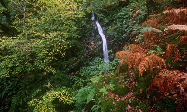 6. "Rừng nhiệt đới Dolcoch", bắc xứ Wales: Công viên quốc gia Snowdonia là nơi có thể ngắm nhìn bức tranh thiên nhiên hoang dã và ấn tượng. Tuyến đường sắt Talyllly kéo dài 7 dặm, chạy dọc bãi biển Tywyn tới thung lũng Fathew, dẫn đến thác nước hùng vĩ Dolgoch và Nant Gwernol. Dọc theo con đường mòn trong rừng, du khách sẽ đến thung lung rừng nhiệt đới, bao quanh bởi những cây cổ thụ.