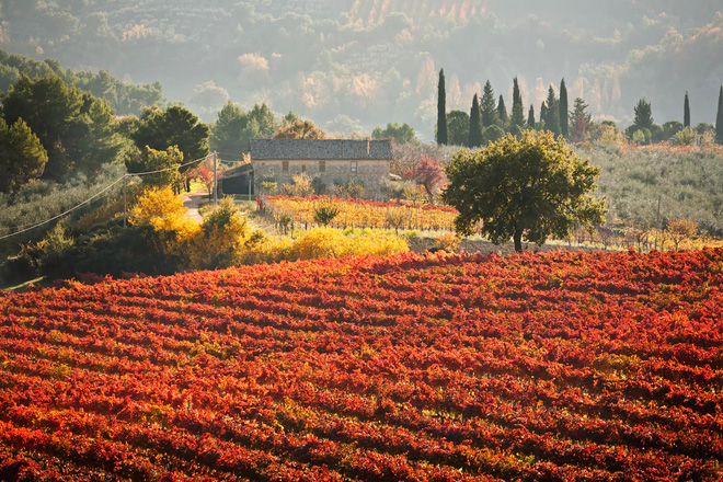 9. Umbria, Ý: Mùa thu ở đây đến khá muộn. Đầu tháng 11, sau đợt thu hoạch nho, là thời điểm thích hợp nhất để ngắm lá nho nhuộm đỏ Umbria.