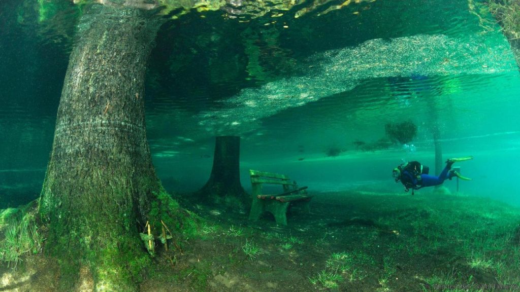 Wooden bench in overflowed Green Lake, Tragoess, Styria, Austria