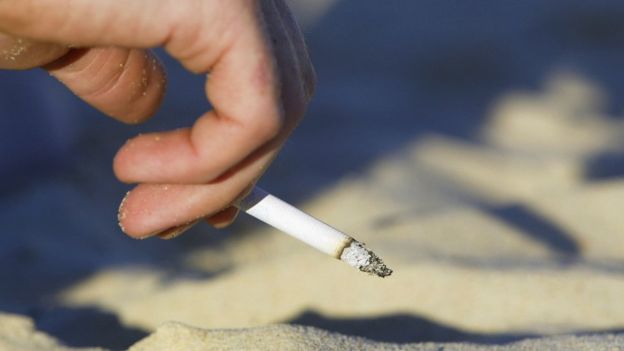 Có vô số đầu thuốc lá được tìm thấy trên bãi biển Phuket trong tháng 9 vừa qua - Ảnh: BBC/ Getty Images 