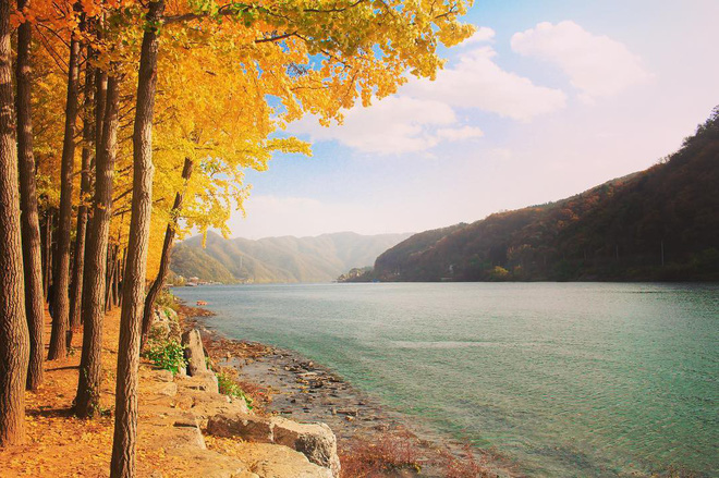 Đảo Nami, một điểm đến mùa thu rất được ưa thích tại Hàn Quốc - @johannafy