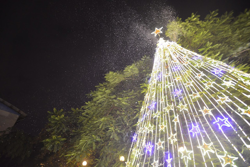 Đặc sản của trường Đại học Thăng Long là cây thông Noel được kết từ những cành cây phượng và trang trí đẹp mắt. Được biết, cây Noel này đã được chăm sóc kỹ lưỡng trong năm chỉ để chờ đến dịp Giáng sinh.
