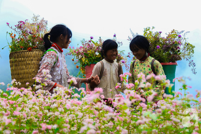 Những đứa trẻ vùng cao nguyên say mê trong mùa hoa mới.