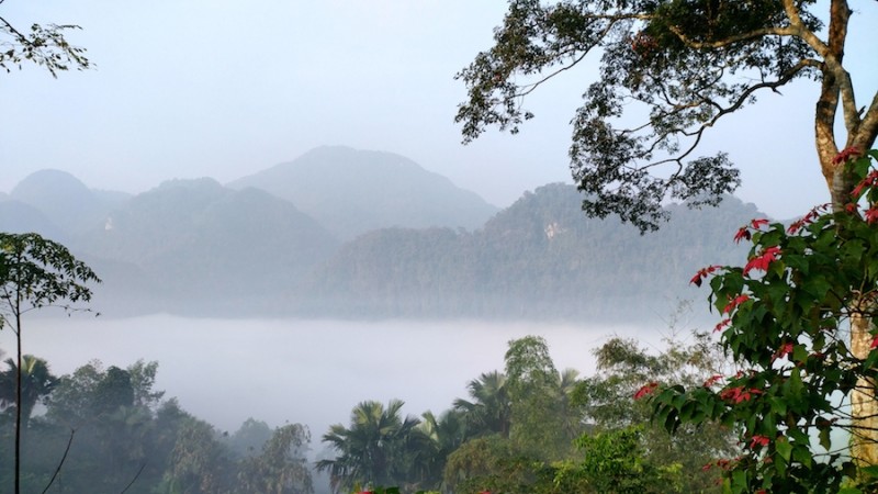 Sương mù phủ giăng lối trên những cánh rừng già cả trăm năm tuổi (Vườn Quốc Gia Xuân Sơn)