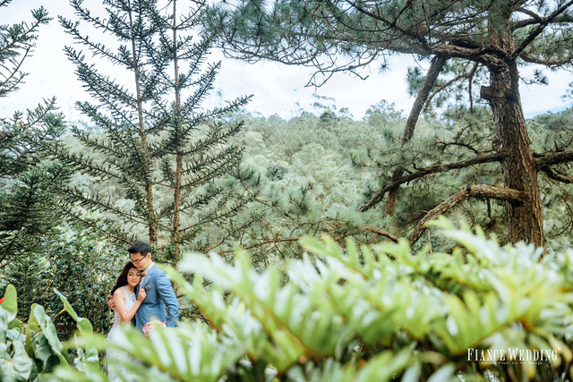 Chụp ảnh cưới trong thiên nhiên tuyệt đẹp ở Đà Lạt
