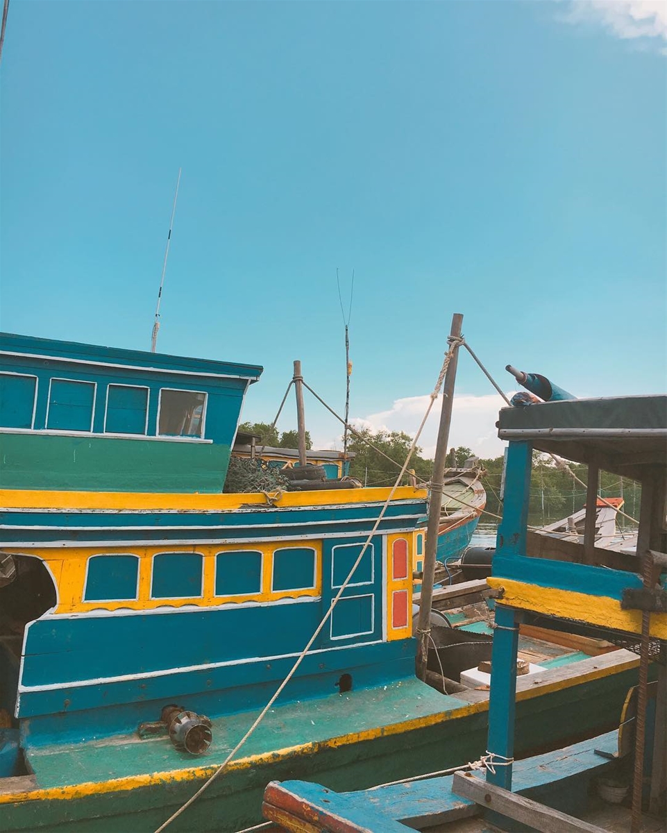 Không phải như Bè Đực Nhỏ ở đảo Long Sơn (bạn phải đi ghe tàu ra), ở Làng bè Gò Găng bạn vừa có thể đi ghe tàu ra hoặc bạn đi theo cây cầu bằng gỗ xà cừ được xây dựng kết nối từ đất liền ra bè nổi, cũng khá thú vị bạn ah vừa đi vừa ngắm cá bơi lội…Vy on Instagram 
