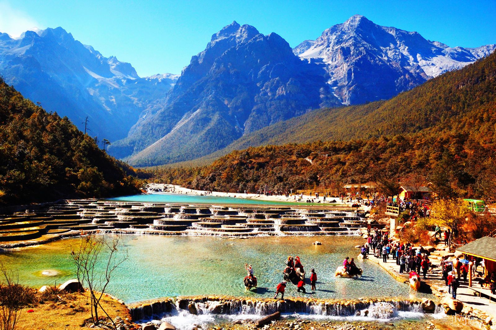 Núi tuyết Ngọc Long: Đỉnh tuyết sơn hùng vĩ tại Vân Nam, Trung Quốc - ChuduInfo