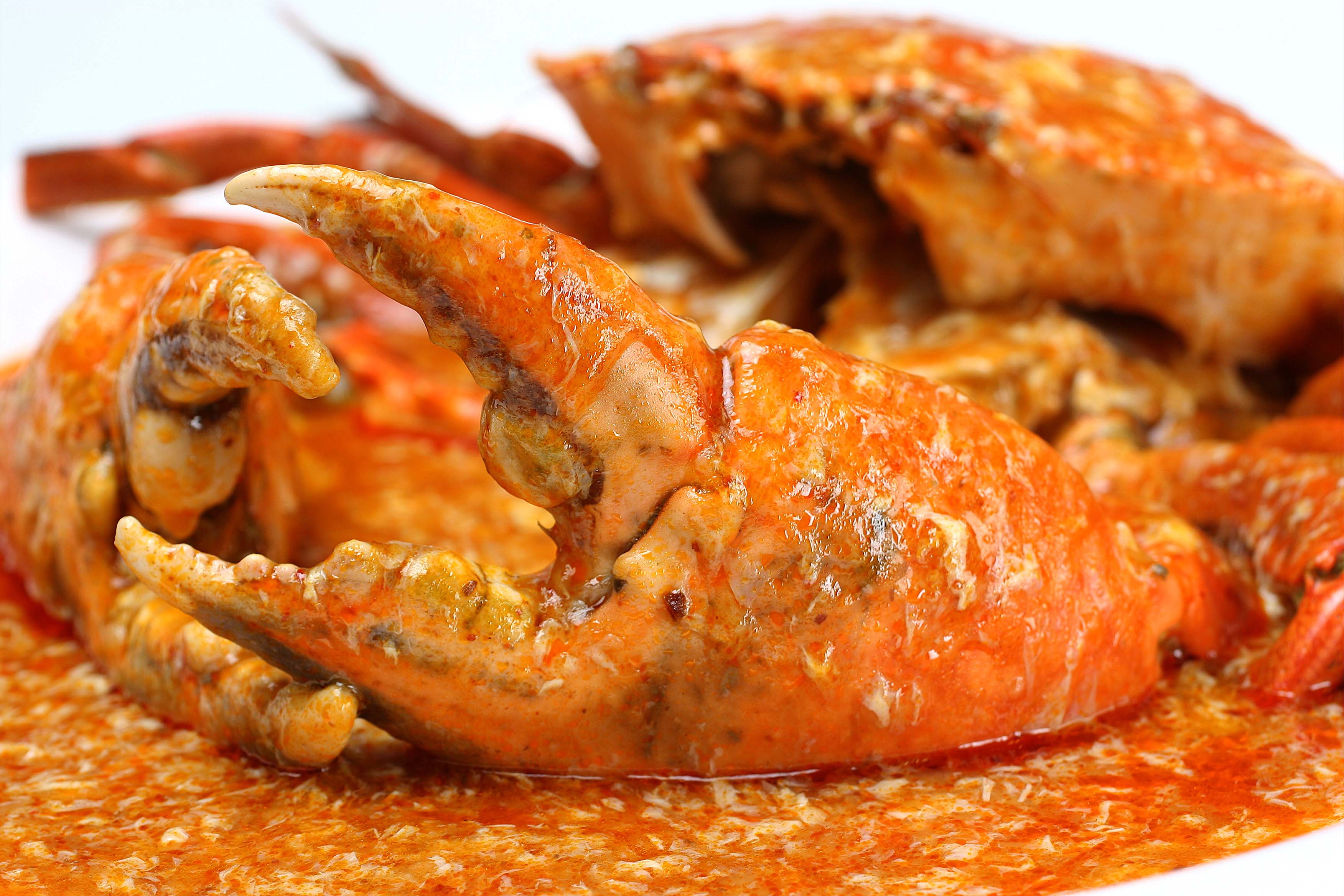 Где можно поесть крабов. Chilli Crab (Чили-краб). Чили краб Сингапур. Chili Crab Singapore соус. Крабы под маринадом.