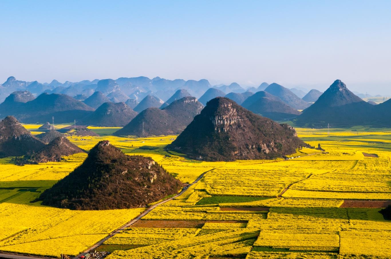 The beauty of Luoping canola flower garden - a mecca for photographers...