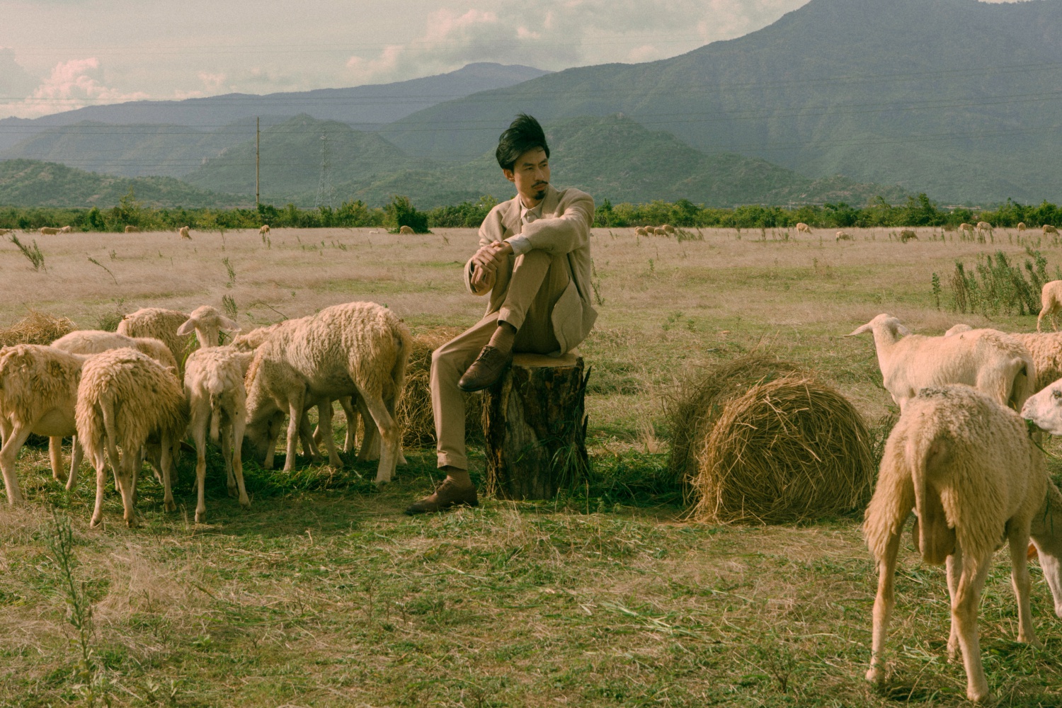 ￼đồng cừu An Hòa Ninh Thuận 2
