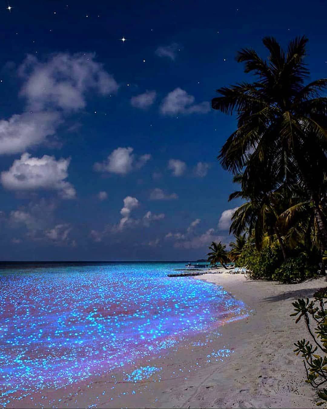 Kinh nghiệm du lịch Maldives 2022 4