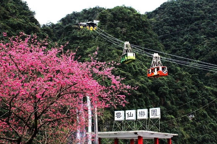du lịch Đài Loan mùa xuân 2023 3