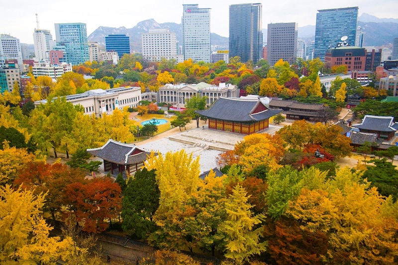 du lịch mùa thu Hàn - Nhật 2