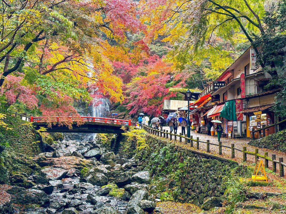 địa điểm ngắm lá vàng lá đỏ ở Nhật 4
