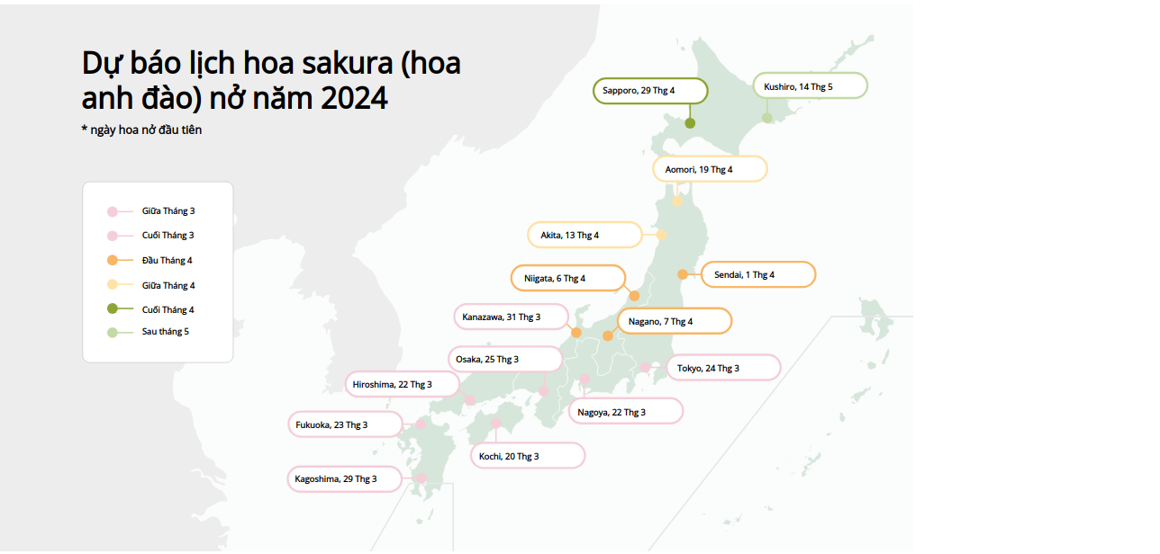 Lịch hoa anh đào Nhật Bản nở 2024 3