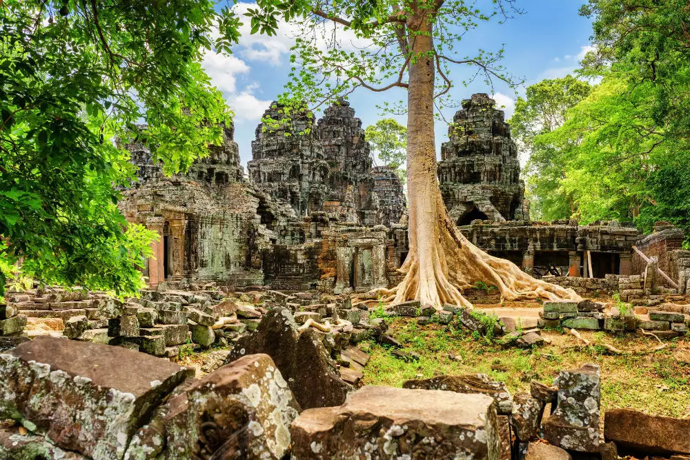 ngôi đền Ta Prohm Siem Reap 1